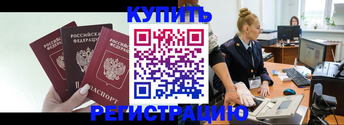 временная регистрация поиск в Светлогорске