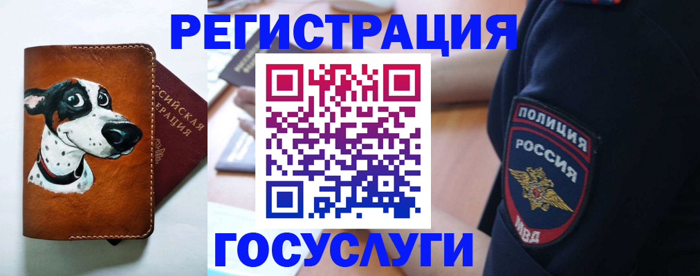 временная регистрация в квартире в Светлогорске